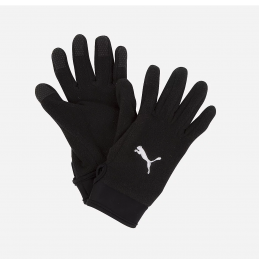 teamLIGA 21 Winter gloves